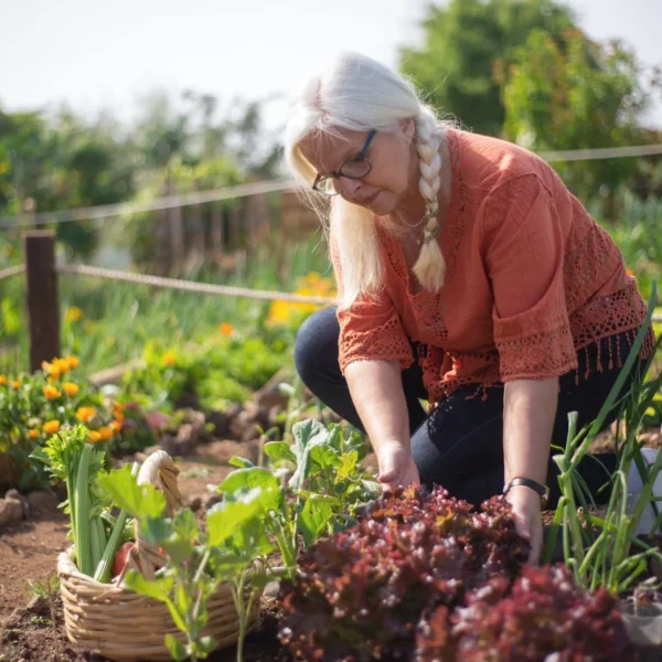 Booster son potager